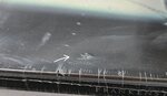 Disc thumbnail
